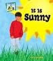 It Is Sunny (Weather)