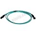 10Gb Aqua Fiber Optic Cable, MTRJ to MTRJ, Multimode Duplex (50/125) - 15 Meter