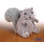 Grey Squirrel