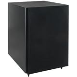 21TScZwiCYL. SL160  Allison AL10 10 125W Subwoofer