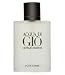 Health & Personal Care : Acqua Di Gio 1.7oz. Eau de Toilette Spray for Men by Giorgio Armani
