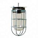 Vaportight Light with Wire Guard by AMERICAN FLUOR CORP