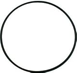 Pentair PacFab Tagelus Sand Filter Seal Bracket Pinn O-ring O-465 355619