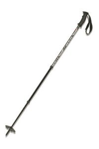 MSR - Denali 3 Poles for Snowshoeing and Hiking