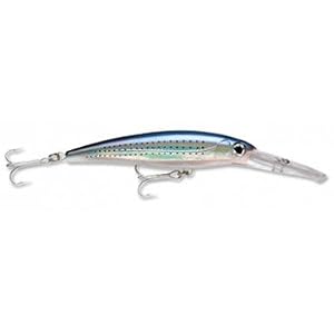 X-Rap Magnum 15 Spotted Minnow by