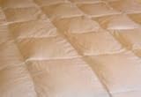 Duvet Insert - Down