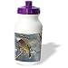 Lee Hiller Photography Hot Springs National Park Wildlife - Cedar Waxwing Flying onto a Branch - Water Bottles