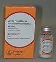 Naramune-2 5 dose vial