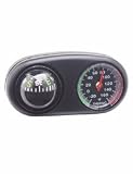 COMPASS/THERMOMETER
