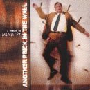Another Prick in the Wall: A Tribute to Ministry, Vol. 2