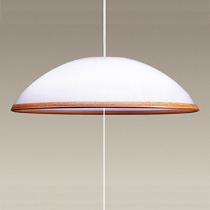 【クリックでお店のこの商品のページへ】タキズミ 洋風ペンダントTAKIZUMI TIV-8911