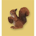 Squirrel (5)