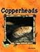 Copperheads (Animal Kingdom Set II) by Julie Murray