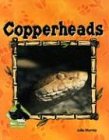 Copperheads (Animal Kingdom Set II)