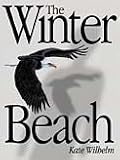 The Winter Beach