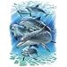 Dolphins Pals Adult T-Shirt
