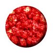 Cinnamon Gourmet Popcorn (2 Gallon Bag) from America's Favorite Gourmet Popcorn Company - Cornzapoppin