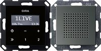 Gira 228020 Unterputz Radio RDS