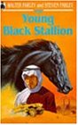 The Young Black Stallion (BLACK STALLION)
