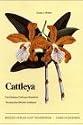 Cattleya (The Brazilian Bifoliate Cattleyas)
