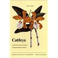 Cattleya  (The Brazilian Bifoliate Cattleyas)
