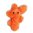 GIANT Microbes - Athlete's Foot (Trichophyton mentagrophytes)!