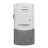 21TWERQMY9L. SL160  alarm burglar