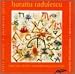 Classical Music : Dizzy Divinity I