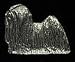 Pewter Lhasa Apso Pin