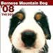 Bernese Mountain Dog Wall (ARTLIST) 2008