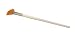 Glycolic Fan Brush