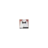 Paul Fredrick 5-Pleat Wing Collar Tuxedo Shirt