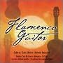 Flamenco Guitar