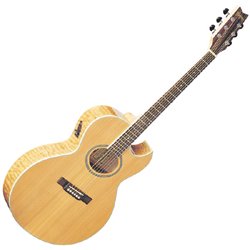 MusicalInstruments: EA20SDL Acoustic Electric Guitar