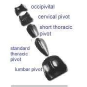 Pivotal Therapy System Cervical Pivot