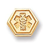 14k Non-Enameled Attachable Medical Emblem Charm