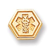 14k Non-Enameled Attachable Medical Emblem Charm