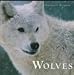 Wolves: Nature's Window