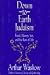 Books : Down-To-Earth Judaism: Food, Money, Sex, and the Rest of Life