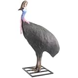 ＦＲＰ動物オブジェ　ヒクイドリ雌(メス) / Cassowary Female