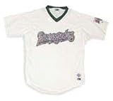 Minor League Baseball Hudson Valley Renegades V Neck Adult Jersey
