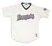 Minor League Baseball Hudson Valley Renegades V Neck Adult Jersey