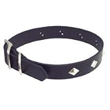 Circle T Diamond Stud Leather Collar- 1 width