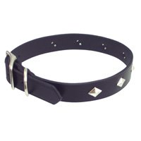 Circle T Diamond Stud Leather Collar- 1" width
