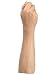 The Fist