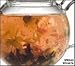 Teaposy Concert Series SONATA Herbal Flowering Blossoming Tea-12 Sachets Image