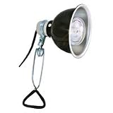 Zoo Med Deluxe Porcelain Clamp Lamp with 5.5-Inch Dome, Black