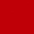 RED JACKET