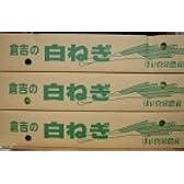鳥取県　倉吉の白ねぎ（３ｋｇ）