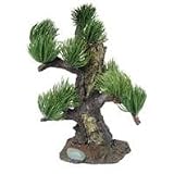 Pet Supplies : Bonsai Pine Needles Sml
